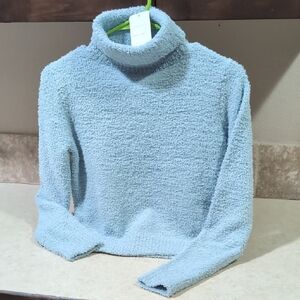 Active USA Soft Sky Blue Turtleneck Sweater